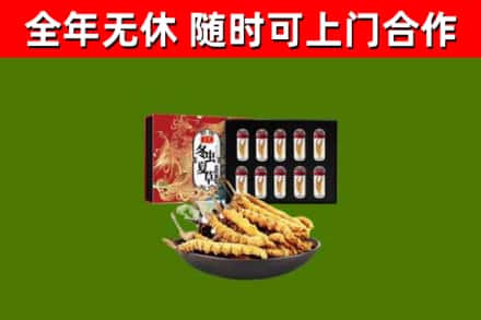 武邑烟酒回收冬虫夏草礼盒.jpg